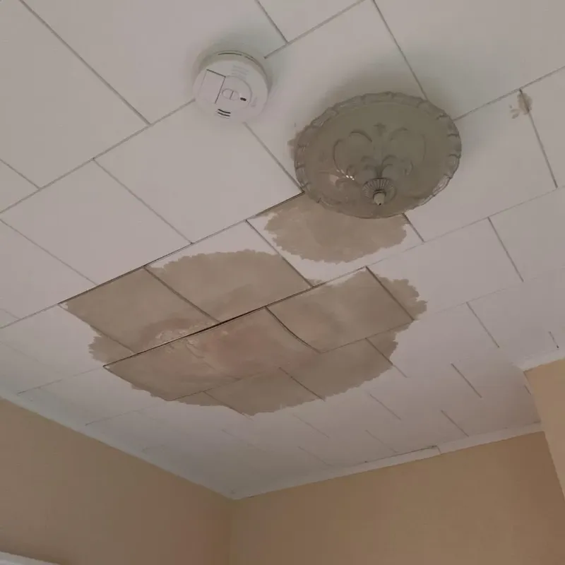 Ceiling Water Damage Repair in Okfuskee County, OK