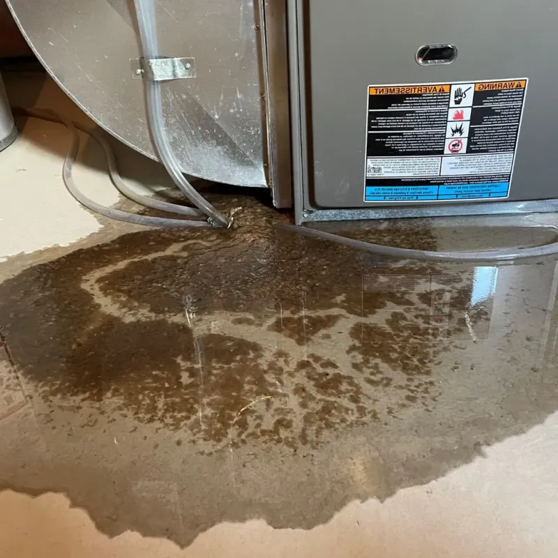 Pipe Burst and Leak Restoration in Okfuskee County, OK