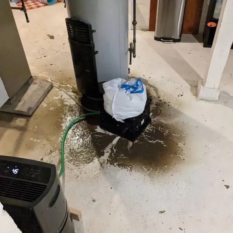Sewage Backup Cleanup Service in Okfuskee County, OK